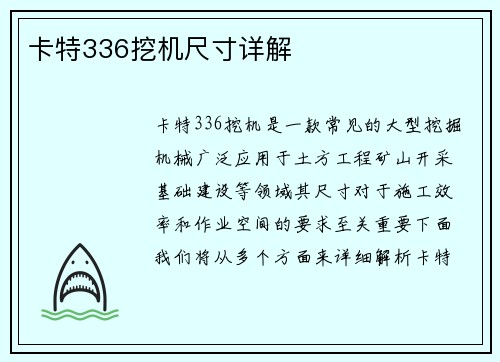 卡特336挖机尺寸详解